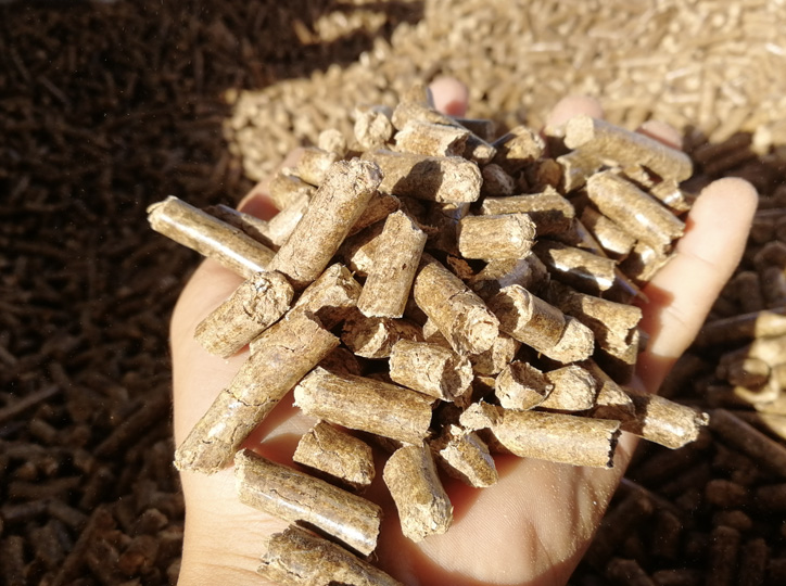 玉米秸稈代替花生秧做飼料，可行嗎